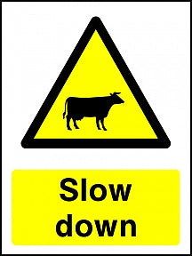 Slow Cattle Sign