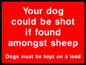 Dogs Among Sheep Sign