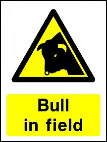 Bull in Field Sign