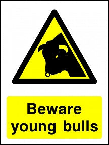 Young Bulls Sign