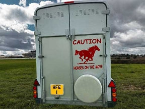 Horse In Transit Stickers